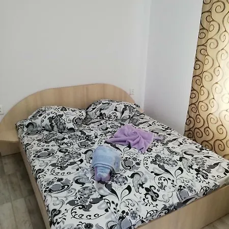 Casa Cristian Homestay *